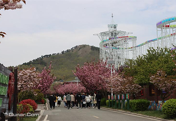 青岛宝湖奔马园第 55 张图片