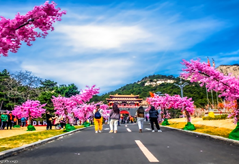 大芦花景区第 29 张图片