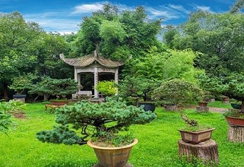 天香园第 6 张图片