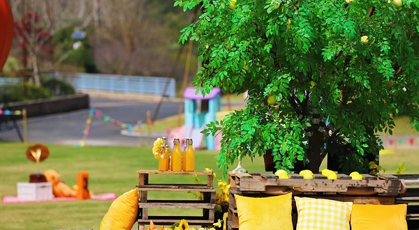 遇见杉谷露营基地(黄岩九溪店)