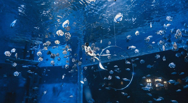 极海潜水俱乐部（汉海海洋公园潜店）