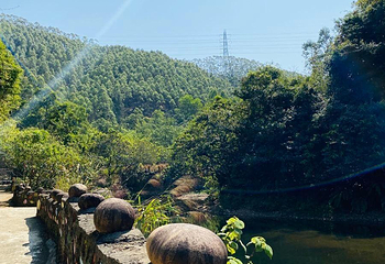 凤凰峡-岭南小九寨第 3 张图片