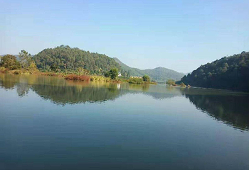 麻沙楠木林景区第 7 张图片
