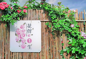 花伴一生玫瑰庄园第 4 张图片