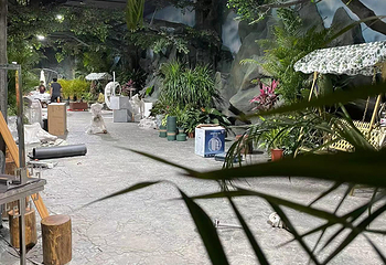 三亚猫猫岛第 15 张图片