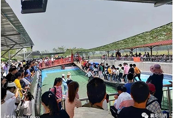 山药小镇第 17 张图片
