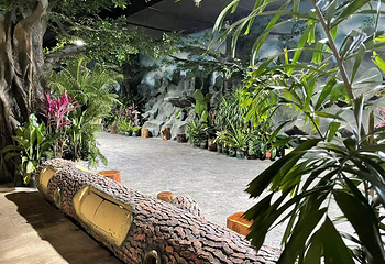 三亚猫猫岛第 21 张图片