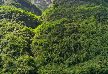 乌江黎芝峡旅游景区第 6 张图片