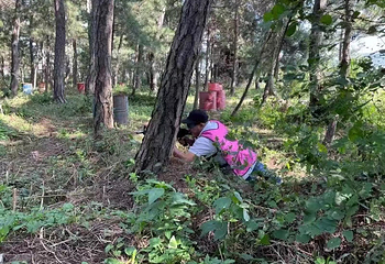 棋盘山泽木户外休闲基地第 12 张图片