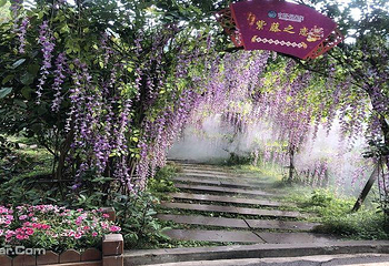 古郡·花果溪第 2 张图片