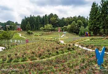 石柱森林王国度假区第 2 张图片