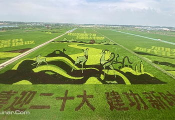 稻渔空间第 13 张图片