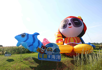空港花田第 16 张图片