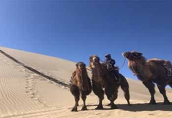 乌兰布和沙海湖旅游区第 9 张图片