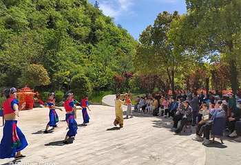 龙船水乡第 29 张图片