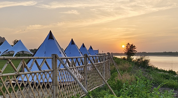 星空花海露营地