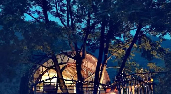 安吉田野之歌club营地