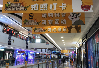 蓝小鸭萌宠乐园(万达广场惠州大亚湾店)第 18 张图片
