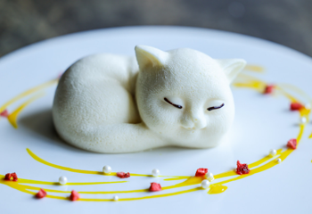三亚猫猫岛第 45 张图片