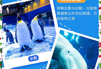 海花岛旅游度假区第 8 张图片