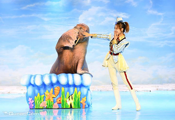 哈尔滨极地公园·海洋馆第 19 张图片