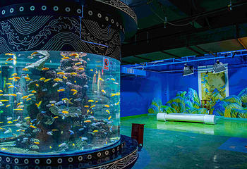 海趣花都海洋世界第 30 张图片
