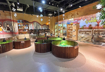 蓝小鸭萌宠乐园(万达广场惠州大亚湾店)第 3 张图片