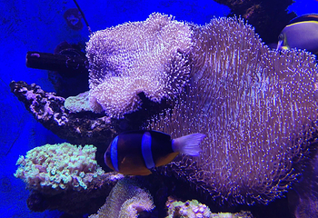 海趣花都海洋世界第 14 张图片