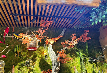 蓝小鸭萌宠乐园(万达广场惠州大亚湾店)第 6 张图片