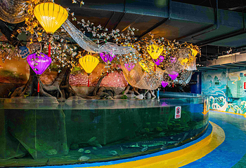 海趣花都海洋世界第 38 张图片