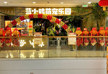蓝小鸭萌宠乐园(万达广场惠州大亚湾店)第 17 张图片