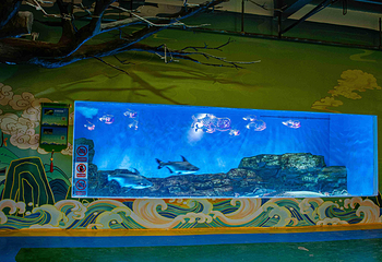 海趣花都海洋世界第 33 张图片