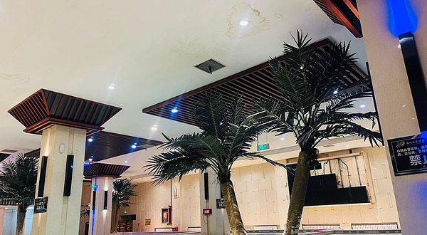 海悦温泉酒店(彦成鲤店)