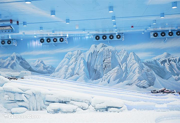 正佳企鹅冰雪世界第 10 张图片