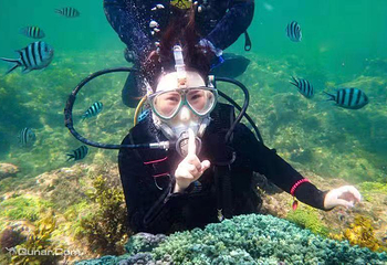 大东海潜水第 2 张图片