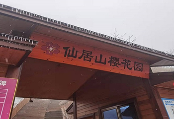 大田屏山·仙居山樱花园第 10 张图片