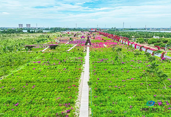 海南花梨谷文化旅游区第 14 张图片
