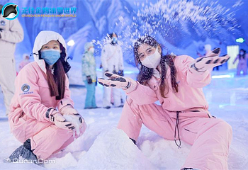 正佳企鹅冰雪世界第 4 张图片