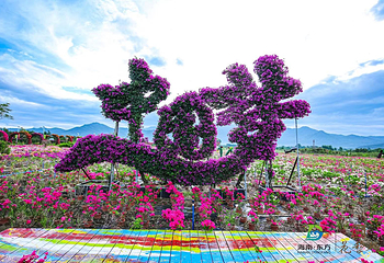 海南花梨谷文化旅游区第 18 张图片