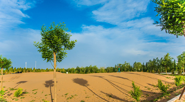敦煌自驾车营地