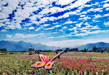 海南花梨谷文化旅游区第 6 张图片