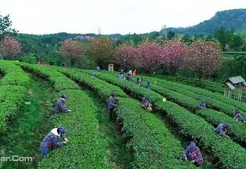 三十二梁风景区第 11 张图片