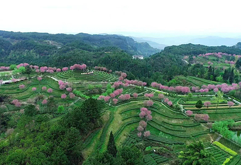 三十二梁风景区第 8 张图片