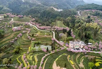 三十二梁风景区第 10 张图片