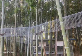 缸窑文化古村第 5 张图片