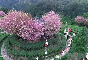 三十二梁风景区第 5 张图片