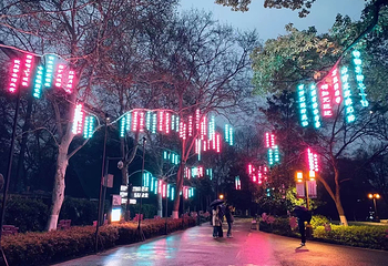 东湖奇妙夜第 5 张图片
