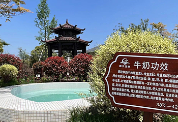 雪沐温泉第 16 张图片