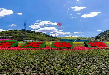 玉龙秘境第 3 张图片