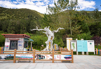 世界柏树王园林第 4 张图片